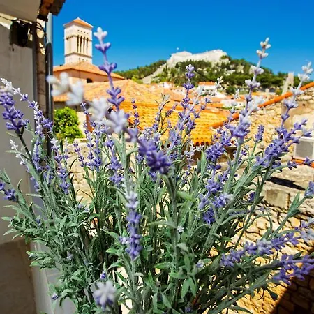 And Happy Place Appartamento